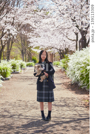 春の桜満開の公園でポメラニアンの子犬と遊んでいる可愛い女子中学生の姿 春の桜満開の公園でポメラニアンの子犬と遊んでいる可愛い女子中学生の姿 139113309