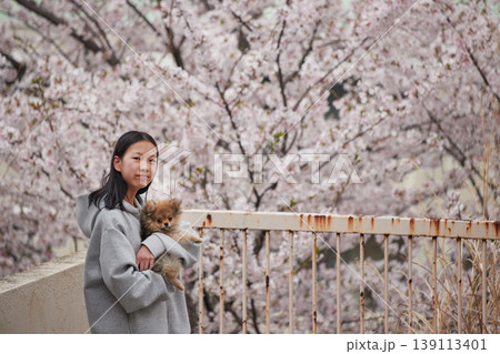 春の桜満開の住宅地の公園で可愛いポメラニアンの子犬と一緒に花見する女子中学生の姿 春の桜満開の住宅地の公園で可愛いポメラニアンの子犬と一緒に花見する女子中学生の姿 139113401
