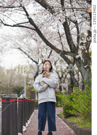 春の桜満開の住宅地の公園で可愛いポメラニアンの子犬と一緒に花見する女子中学生の姿 139113402