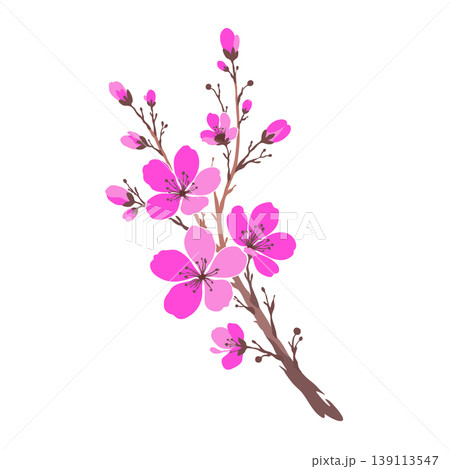 Vector illustration of a sakura branch with pink blossoms isolated on a white background. Japanese cherry branch. Blooming apple flowers. For greeting cards, invitations, branding, packaging, prints Vector illustration of a sakura branch with pink blossoms isolated on a white background. Japanese cherry branch. Blooming apple flowers. For greeting cards, invitations, branding, packaging, prints 139113547