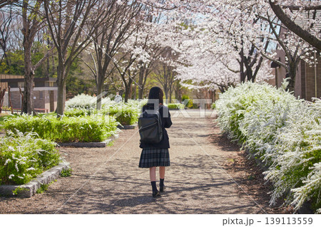 春の桜満開の公園で花見する女子中学生の姿 139113559