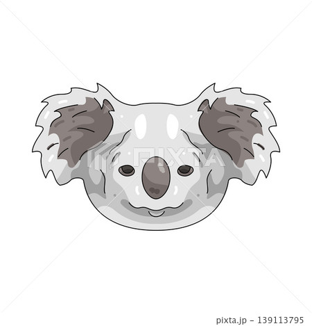Illustration of Koala Illustration of Koala 139113795