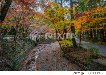 森町の遠江国一宮小國神社の紅葉の風景(静岡県) 森町の遠江国一宮小國神社の紅葉の風景(静岡県) 139113932