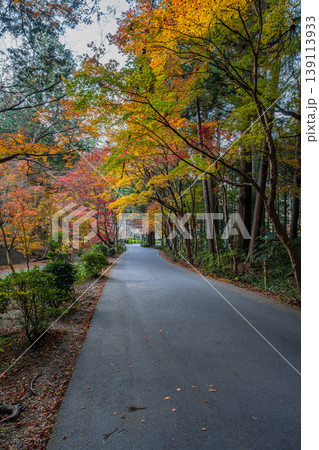 森町の遠江国一宮小國神社の紅葉の風景(静岡県) 森町の遠江国一宮小國神社の紅葉の風景(静岡県) 139113933