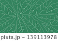 Green leaves background. Green foliage prints backdrop. 139113978