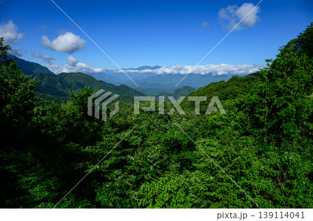 中之倉峠の南アルプス展望台からの風景 中之倉峠の南アルプス展望台からの風景 139114041