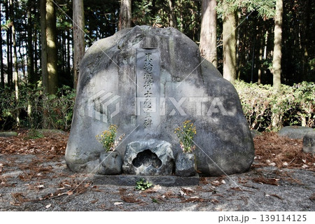 箕輪将士慰霊碑（箕輪城跡 御前曲輪／群馬県高崎市箕郷町） 139114125