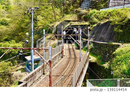 新緑の中を走る線路 新緑の中を走る線路 139114454
