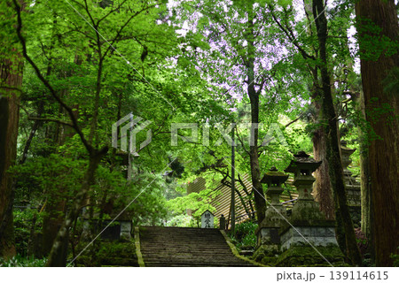 大雄山最乗寺　参道 139114615