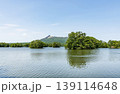 北海道　夏の大沼国定公園　大沼越しに見る北海道駒ヶ岳 139114648