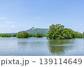 北海道　夏の大沼国定公園　大沼越しに見る北海道駒ヶ岳 139114649