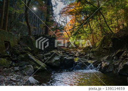 岡崎市のくらがり渓谷の風景(愛知県) 岡崎市のくらがり渓谷の風景(愛知県) 139114659