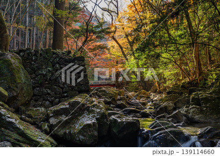 岡崎市のくらがり渓谷の風景(愛知県) 岡崎市のくらがり渓谷の風景(愛知県) 139114660
