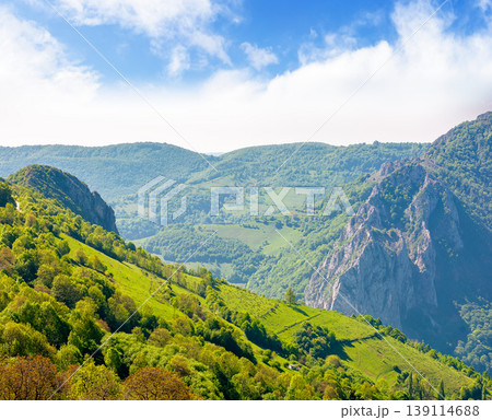 beautiful countryside of romania. sunny forenoon. wonderful springtime landscape in mountains. grassy field and rolling hills. rural scenery with steep forested slopes. amazing carpathian highland beautiful countryside of romania. sunny forenoon. wonderful springtime landscape in mountains. grassy field and rolling hills. rural scenery with steep forested slopes. amazing carpathian highland 139114688