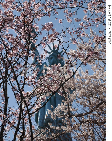 桜の花の中に垣間見える自由の女神像 桜の花の中に垣間見える自由の女神像 139114744