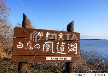 根室十景・白鳥の風蓮湖 根室十景・白鳥の風蓮湖 139115011
