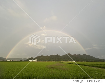 ダブルレインボーdouble rainbow ダブルレインボーdouble rainbow 139115348