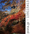 紅葉のライトアップ 139115413