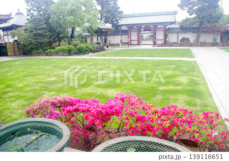 花のある風景　三学院 139116651