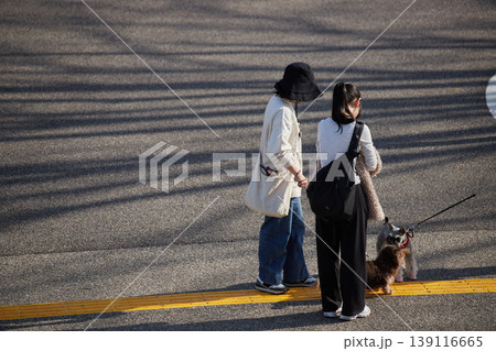 春の公園で犬を連れて散歩する中年女性親子の姿 春の公園で犬を連れて散歩する中年女性親子の姿 139116665