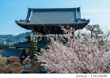 京都　金戒光明寺の春 139116686
