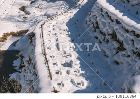栃木県湯西川温泉かまくら祭り会場の雪 139116864