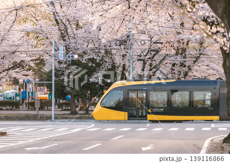 桜並木を走る宇都宮LRTと春の街並み 139116866