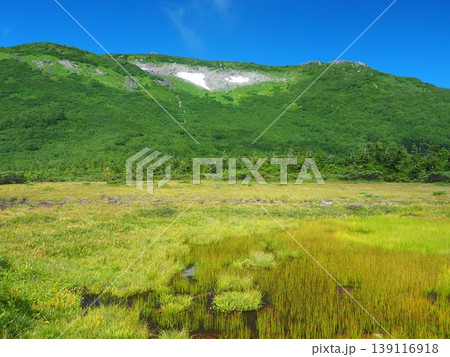 夏の天狗原湿原と白馬乗鞍岳 夏の天狗原湿原と白馬乗鞍岳 139116918