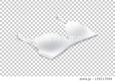 Blank white wireless bra mockup png, transparent background, 3d rendering. Empty women keeping underclothing cover mock up cut out. Clear fabric or nylon seamless undies breast lingerie template. Blank white wireless bra mockup png, transparent background, 3d rendering. Empty women keeping underclothing cover mock up cut out. Clear fabric or nylon seamless undies breast lingerie template. 139117094