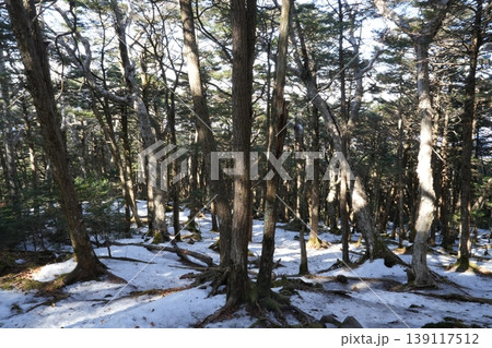 2月下旬の編笠山・西岳の冬景色（長野県富士見町と山梨県北杜市） 139117512