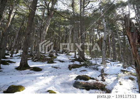 2月下旬の編笠山・西岳の冬景色（長野県富士見町と山梨県北杜市） 139117513