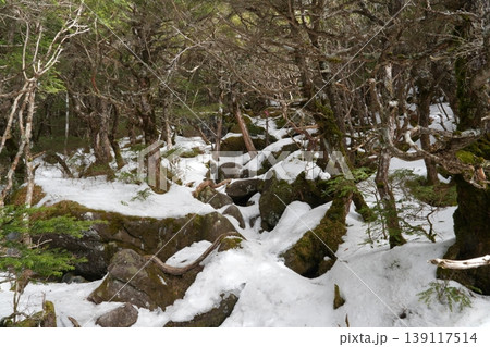 2月下旬の編笠山・西岳の冬景色（長野県富士見町と山梨県北杜市） 139117514