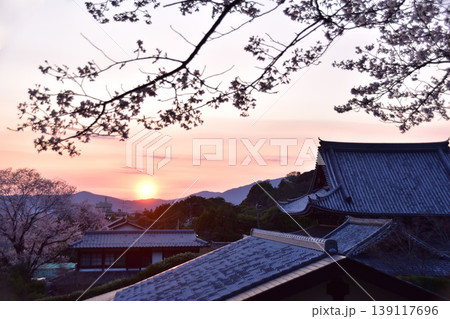 京都・哲学の道からの夕日と桜の風景 139117696