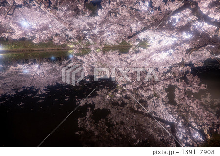 弘前公園 さくらまつりの夜桜 弘前公園 さくらまつりの夜桜 139117908