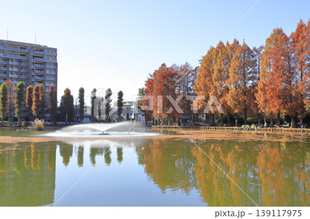 紅葉の別所沼公園 139117975