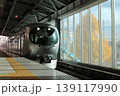 イチョウの木をバックに駆け抜けるLAVIEW号 LAVIEW-exp. & gingko tree 139117990
