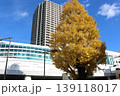 見頃を迎えた駅前のイチョウの大木 golden gingko tree near station 139118017