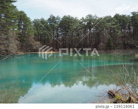 4月下旬の五色沼湖沼群(福島県北塩原村) 4月下旬の五色沼湖沼群(福島県北塩原村) 139118061