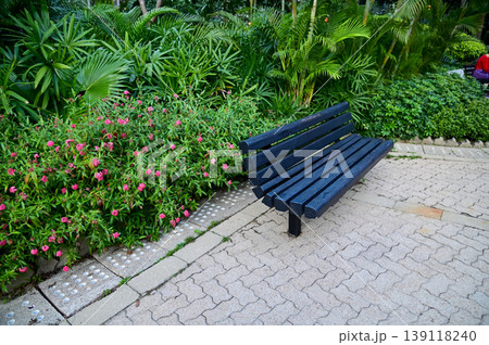Close-up of the bench in a public park. Relaxation, nature and travel concept. Close-up of the bench in a public park. Relaxation, nature and travel concept. 139118240