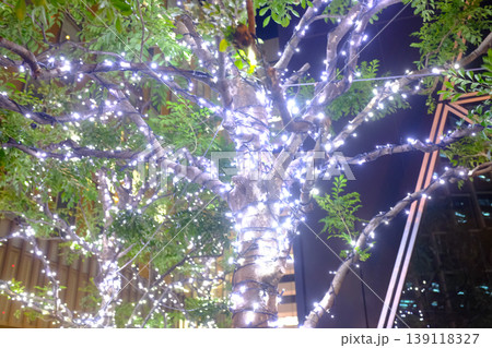 Close-up of the lighting decoration hanging on the tree. Cityscape, city decoration. For festival. 139118327
