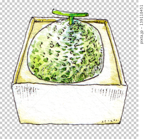 水彩插畫:禮物 - 甜瓜 水彩插畫:禮物 - 甜瓜 139118451