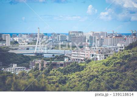 緑に囲まれた街の風景 緑に囲まれた街の風景 139118614