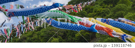 群馬県:神流川公園河川敷の鯉のぼり／群馬県神流(かんな)町 139118746
