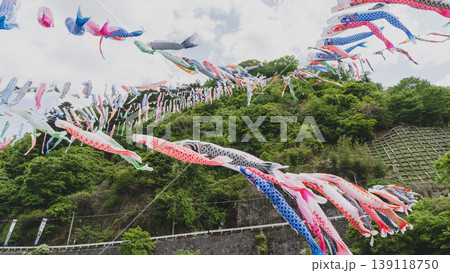群馬県:神流川公園／風で泳ぐ鯉のぼり／群馬県神流(かんな)町 139118750