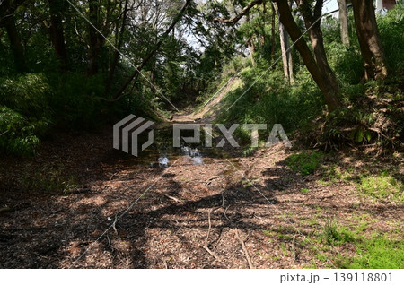 小峯曲輪北堀(小田原城) 小峯曲輪北堀(小田原城) 139118801