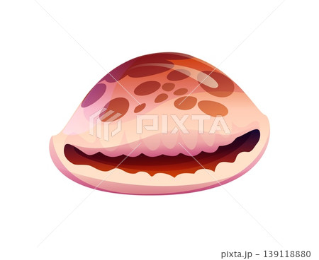 Ocean bottom cowrie cartoon seashell or mussel. Ocean life cartoon shell, underwater mollusk seashell. Tropical sea fauna conch Ocean bottom cowrie cartoon seashell or mussel. Ocean life cartoon shell, underwater mollusk seashell. Tropical sea fauna conch 139118880