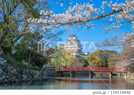 兵庫県 桜と姫路城 兵庫県 桜と姫路城 139119046