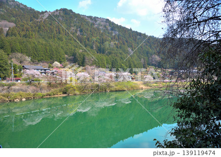 《岐阜県》恵那市　笠置峡の桜 139119474