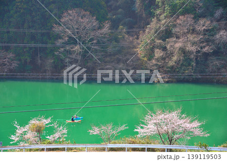 《岐阜県》恵那市　笠置峡の桜 139119503