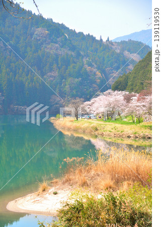《岐阜県》恵那市　笠置峡の桜 139119530